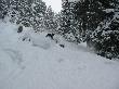 IMG_1730a.JPG