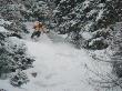 treeskiing gran risa.jpg